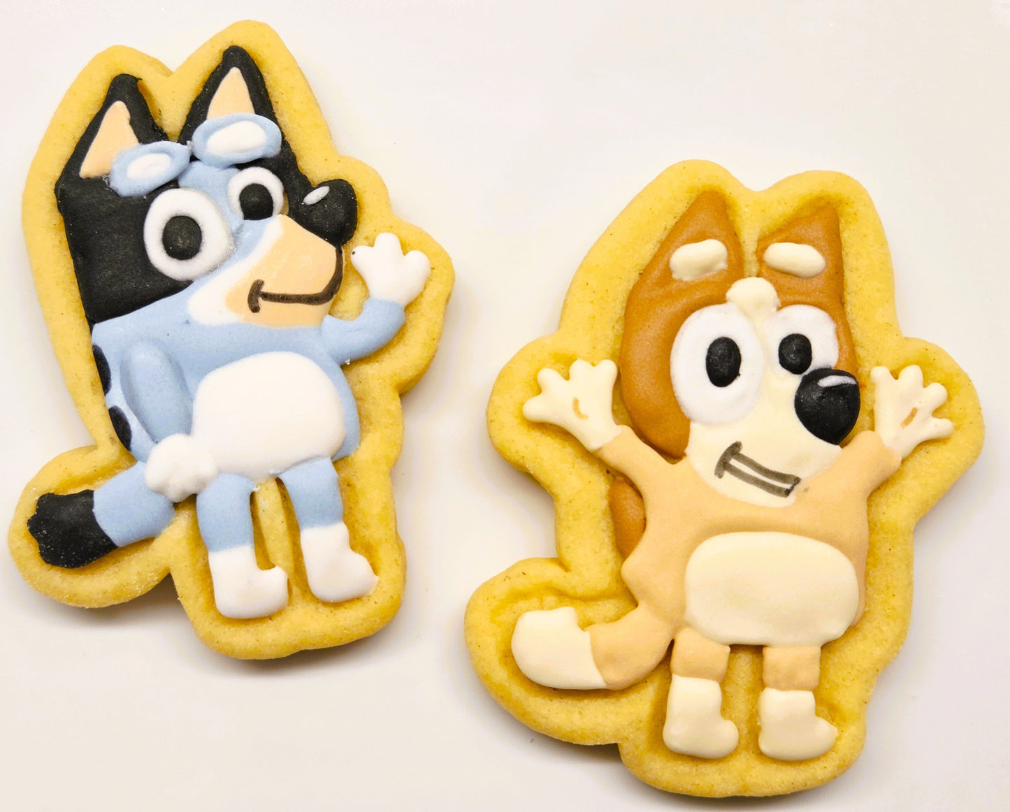 Bluey & Bingo