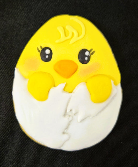 Hatching Chick